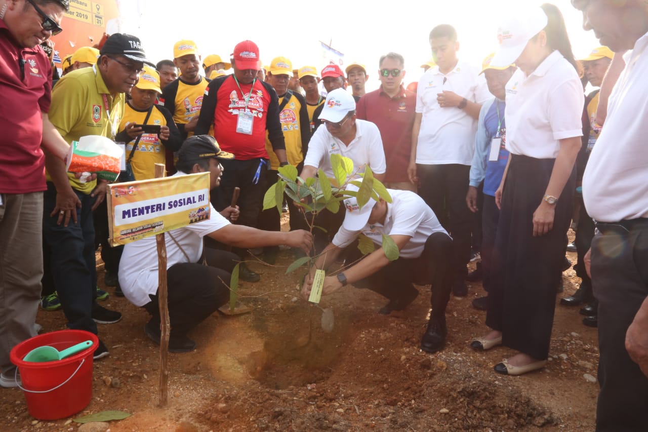 Mensos Tanam 1.000 Pohon di Kebun Raya Banoa