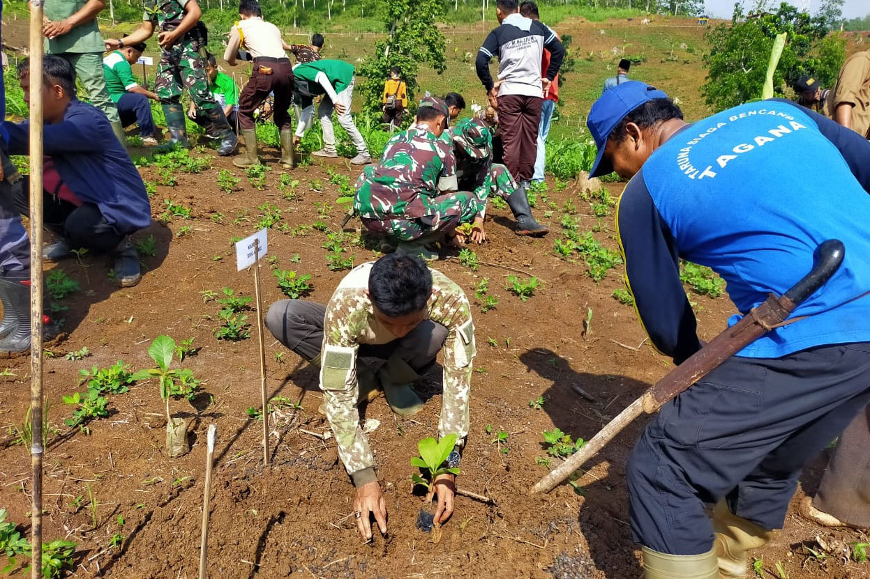 Tagana Tanam Seribu Pohon di Lokasi Pembalakan Liar