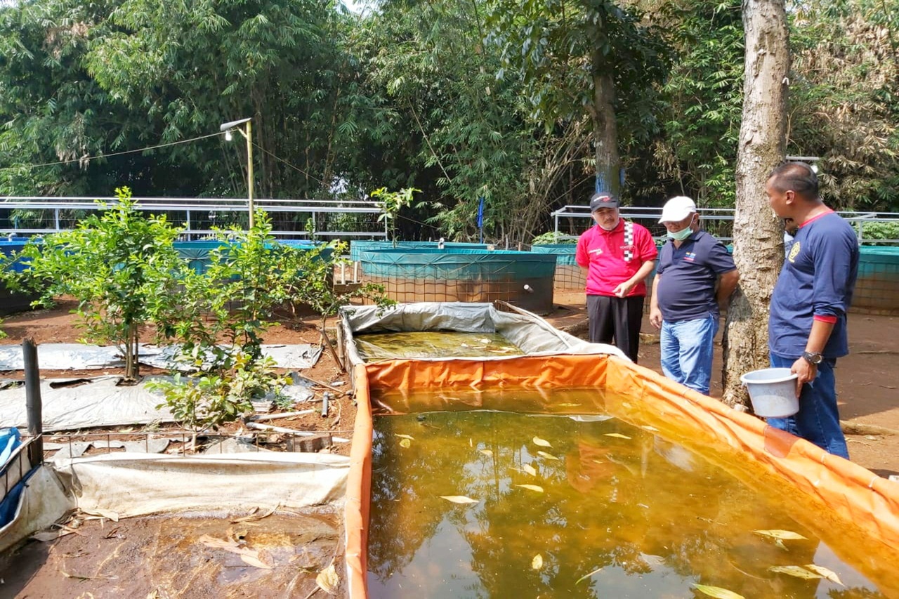 Karang Taruna Kecamatan Cibinong Tetap Inovatif dan Produktif