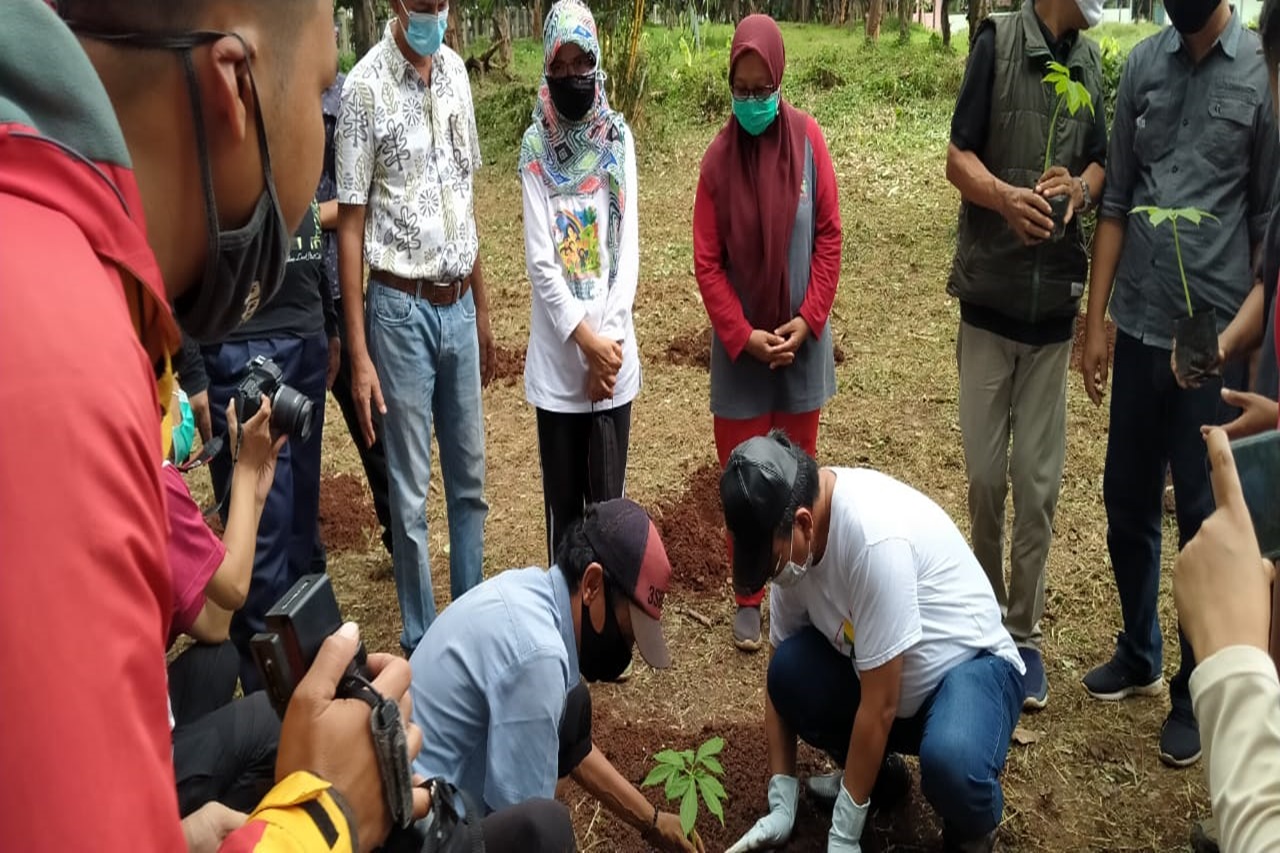 Pemulung Tanam Porang di Balai "Pangudi Luhur" Bekasi