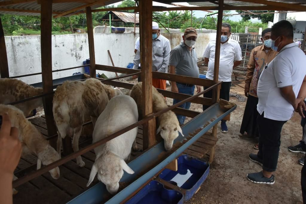 Kunjungi Probolinggo, Dirjen PFM Rencanakan Pengembangan KPM di Bidang Peternakan