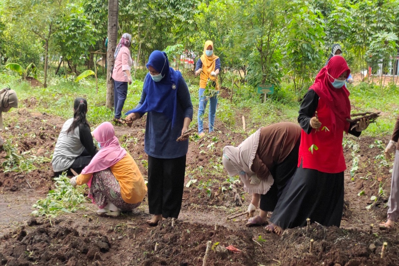 Kreasi ATENSI: Wujudkan Agrowisata Lansia untuk Kawasan Ramah Lansia