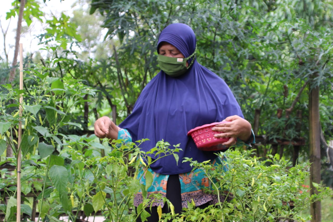 Elderly PKH Gardens Recreational Facilities Reduce the Risk of Dementia