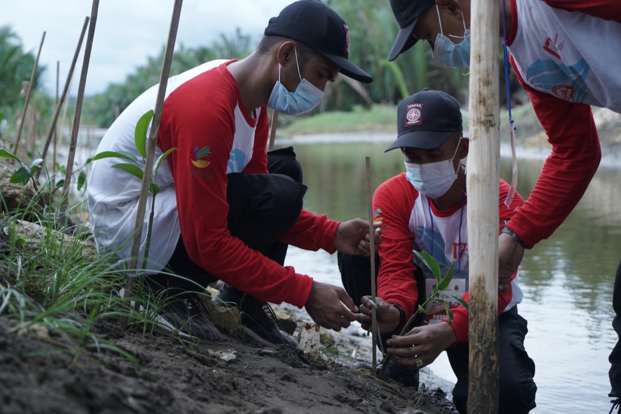 17th Tagana Anniversary: Tagana Planted 2.7 Million Mangrove Seeds