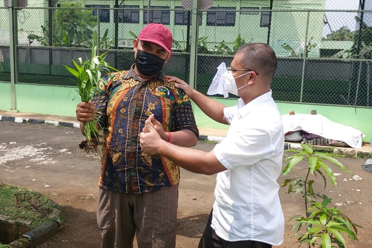 Penyandang Disabilitas Balai "Ciungwanara" Sukses Panen Kangkung