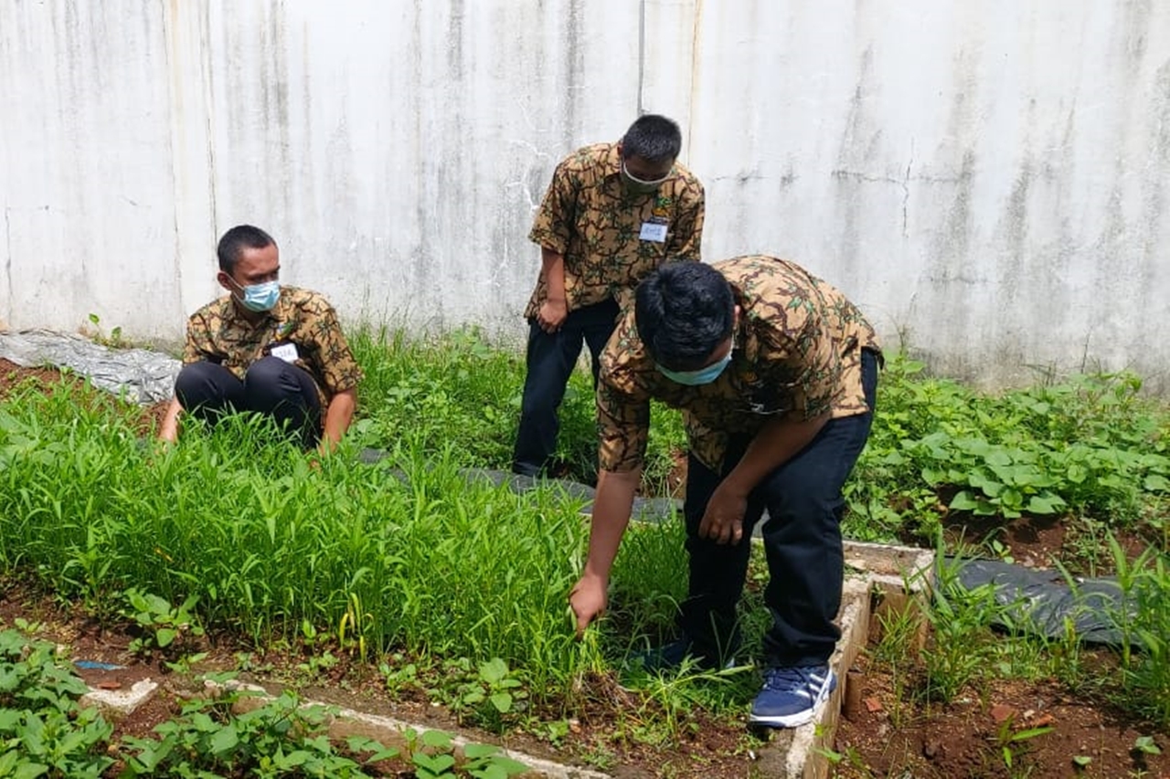 Dukung Ketahanan Pangan, PM Balai Disabilitas "Ciungwanara" Tuai Hasil Bercocok Tanam