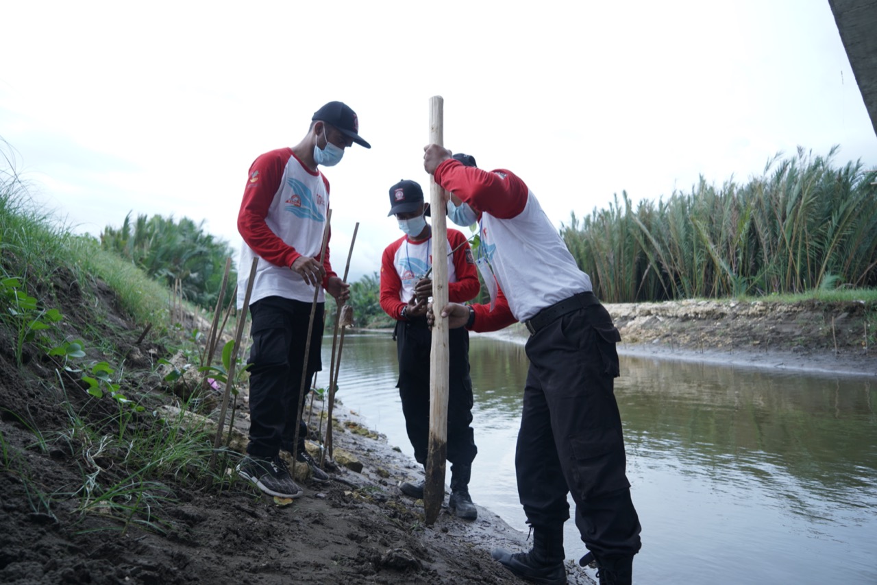 Sambut Perayaan HUT Tagana ke-17, Kemensos Tanam 2,7 Juta Bibit Mangrove