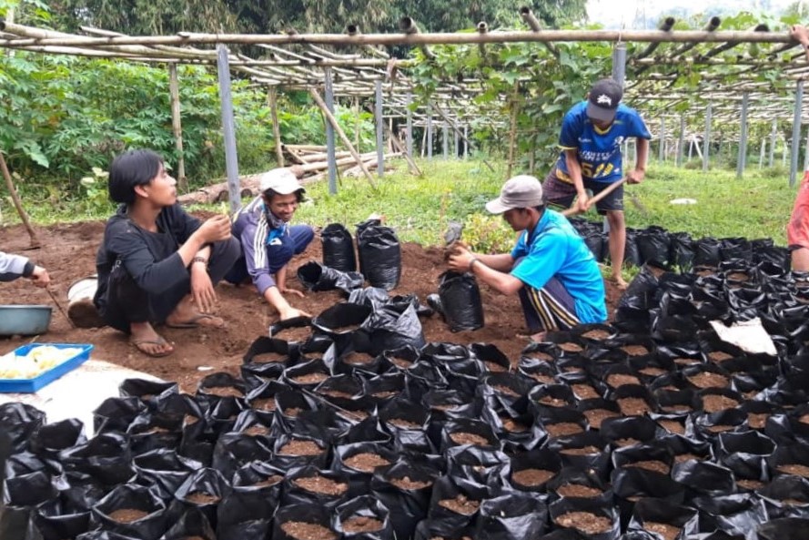 Karang Taruna Tumbuhkan Perilaku "Entrepreneurship" Generasi Muda