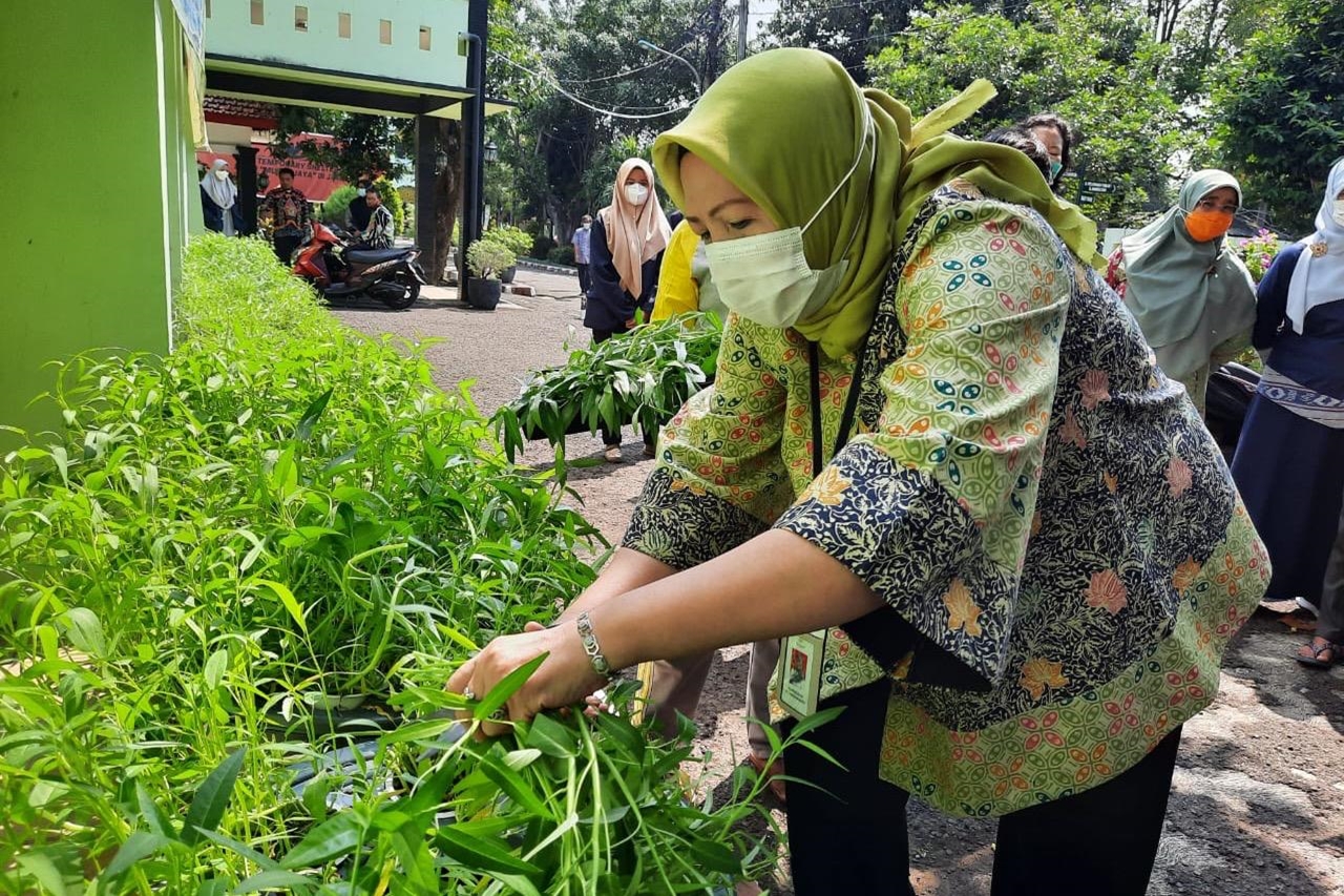 Balai Karya "Mulya Jaya" Ajarkan Berbagai Macam Metode Menanam bagi Penerima Manfaat