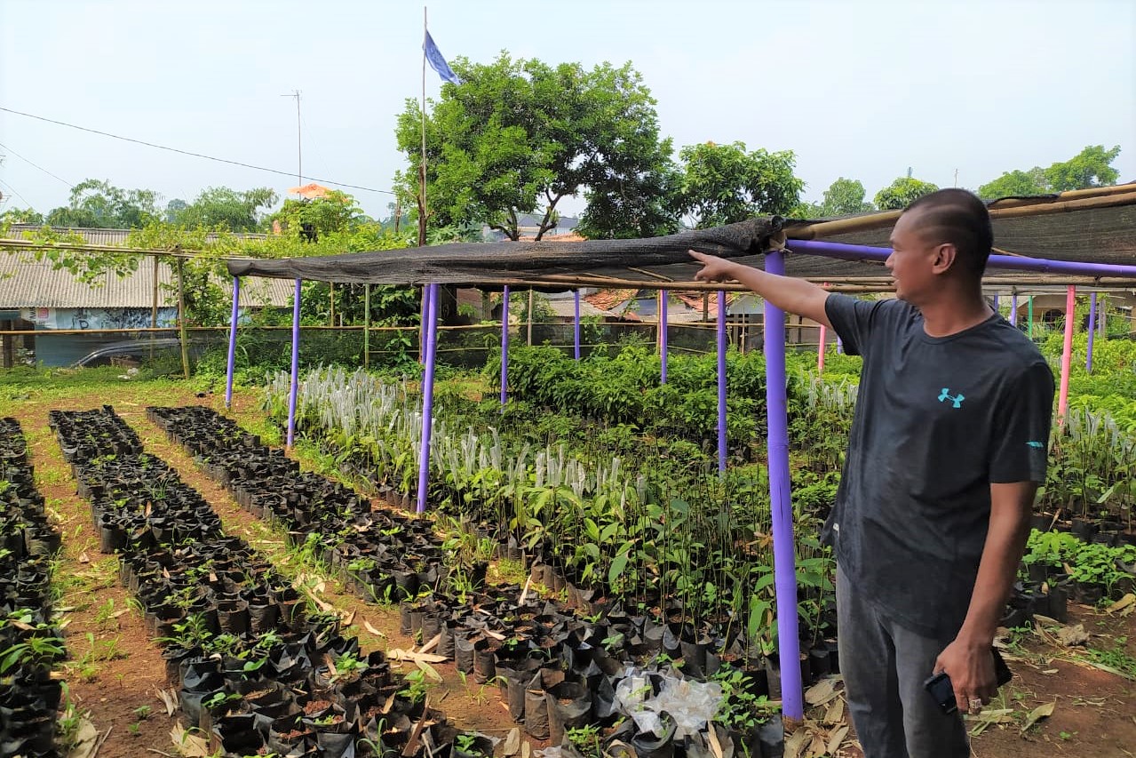 Karang Taruna Kecamatan Cibinong Berdayakan Masyarakat Lewat Pertanian