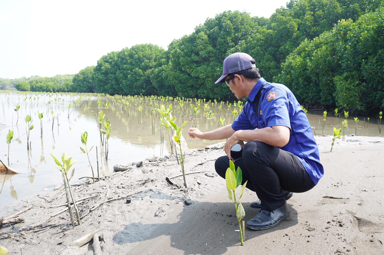 Redam Dampak Abrasi, Karang Taruna Muara Gembong Gerakkan Masyarakat