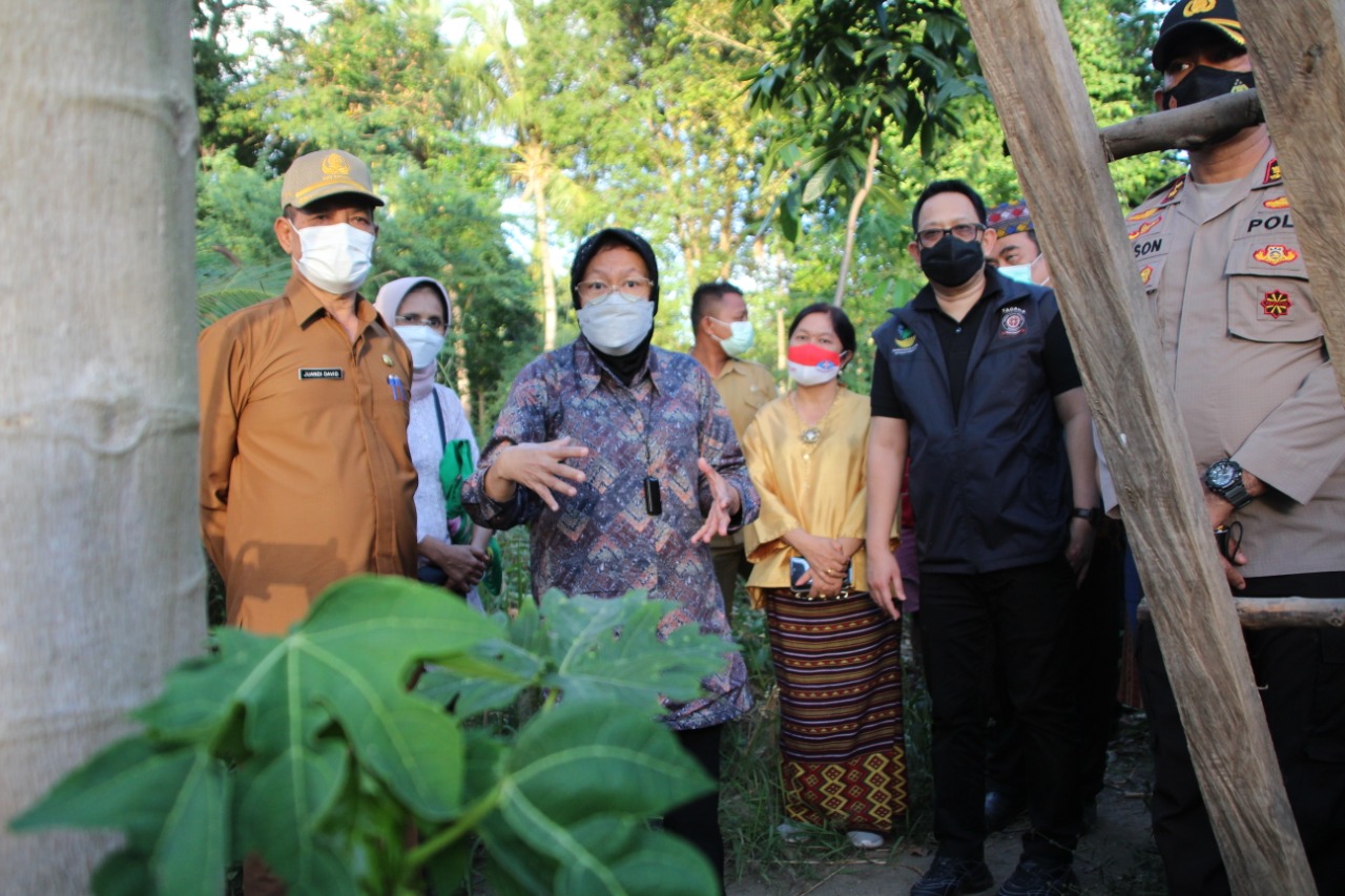 Mensos Kunjungi Sejumlah Lokasi Terdampak Pasca Badai Siklon Seroja