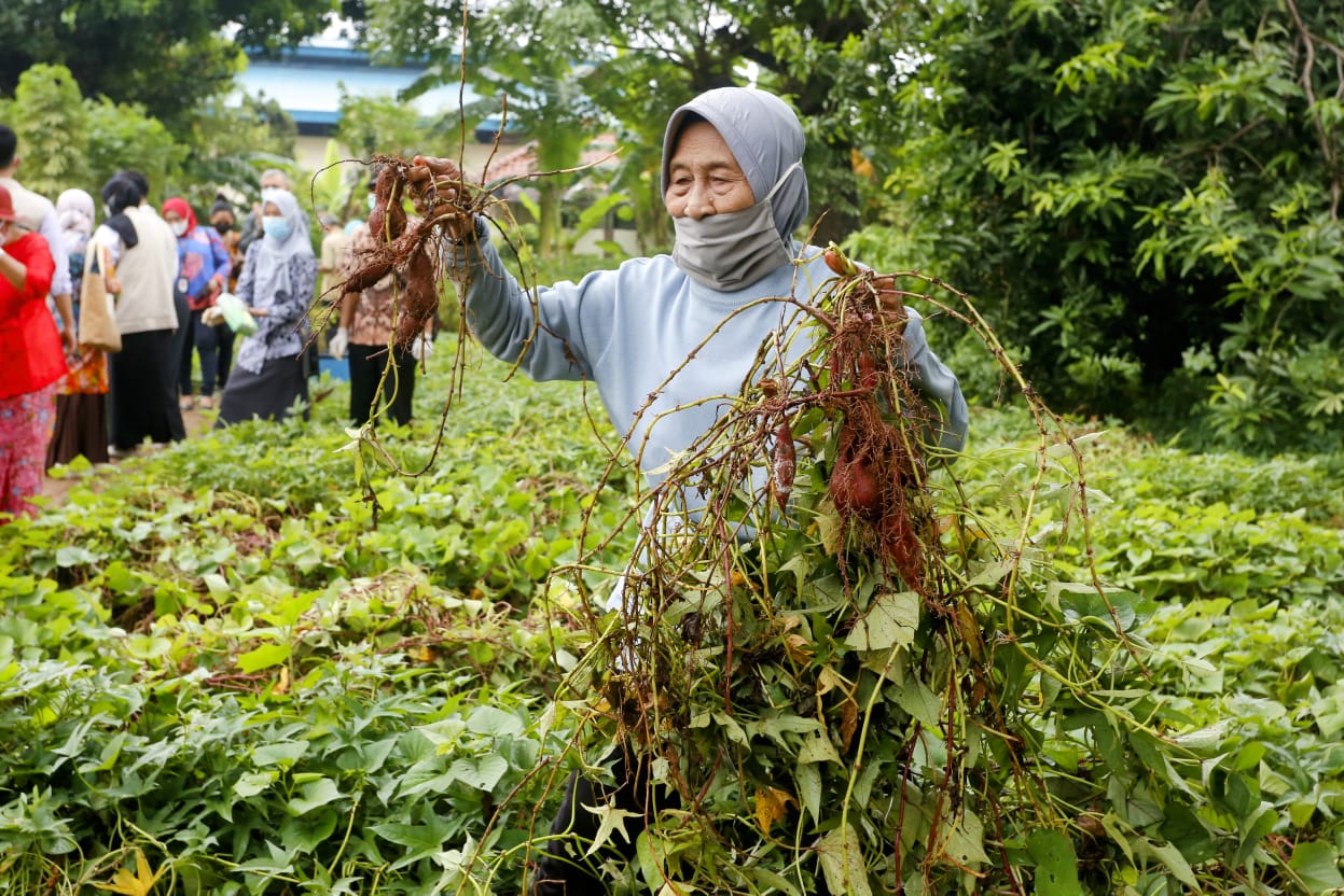 Mensos: Lansia bukan Beban, Namun Aset Negara dan Subyek Pembangunan