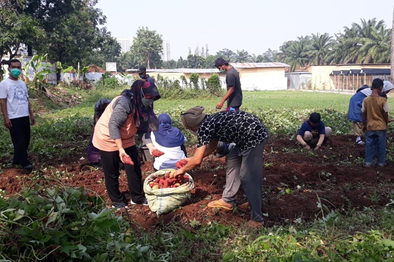 Kerja Bakti di Lahan Perkebunan Balai "Pangudi Luhur"