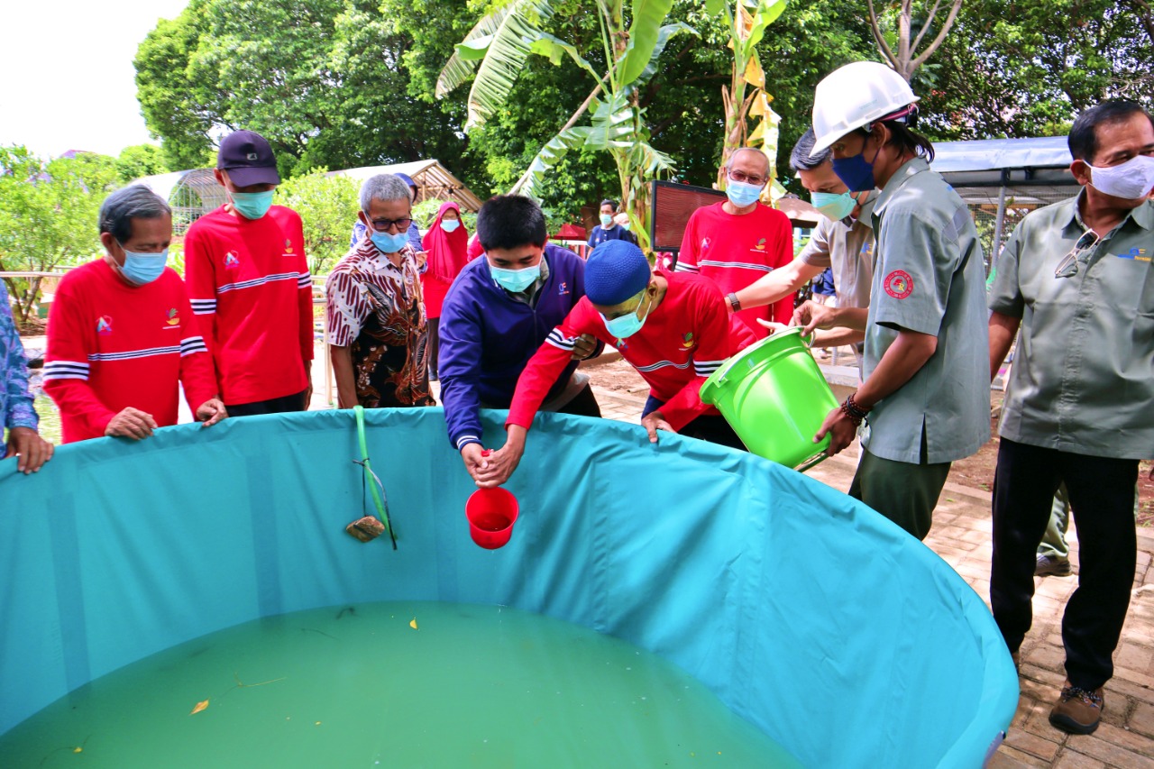 Gandeng PT Andalan Furnindo, Balai “Budi Dharma” Kembangkan Agrowisata Lansia