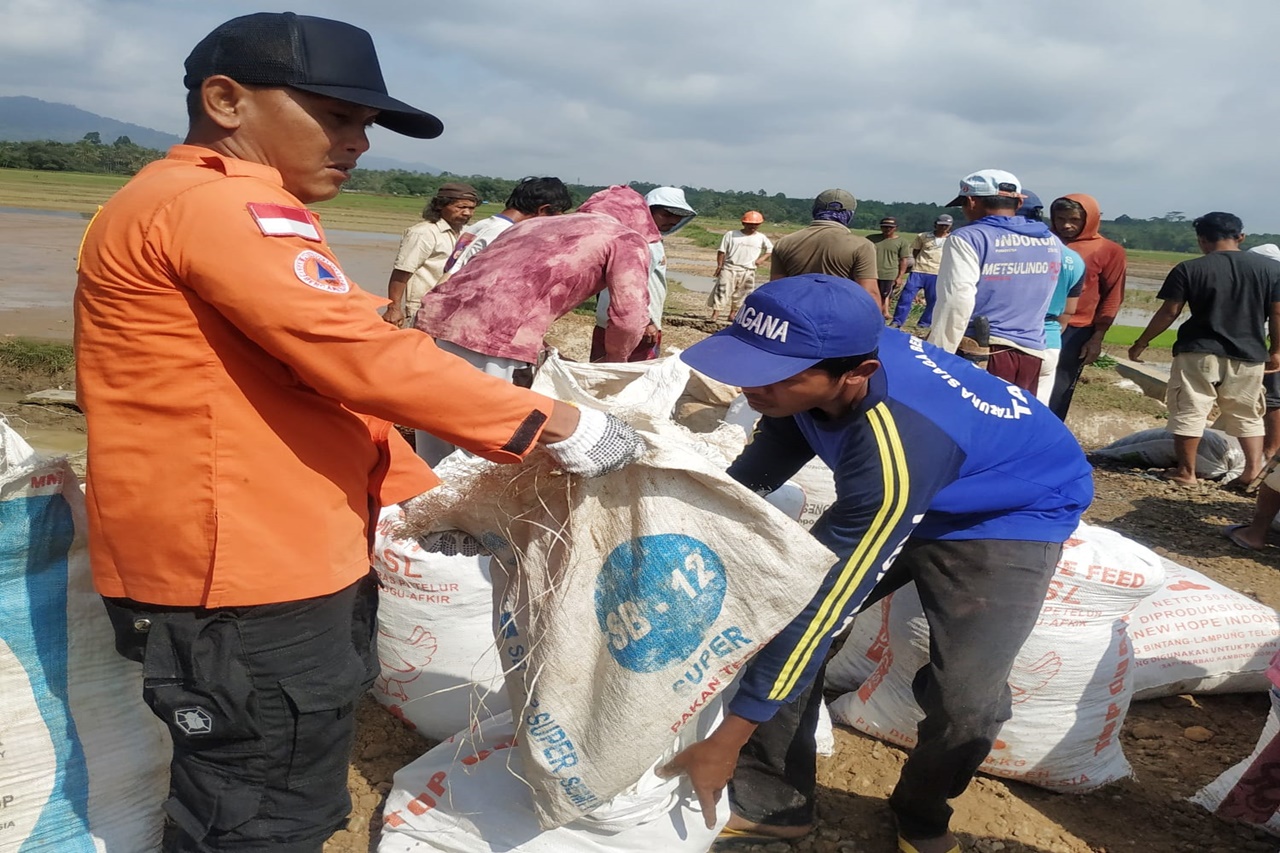 Jalan Utama Antar Kabupaten Amblas, Tagana, Satgas PB dan Damkar Pringsewu Gotong Royong bersama Warga buat Jembatan