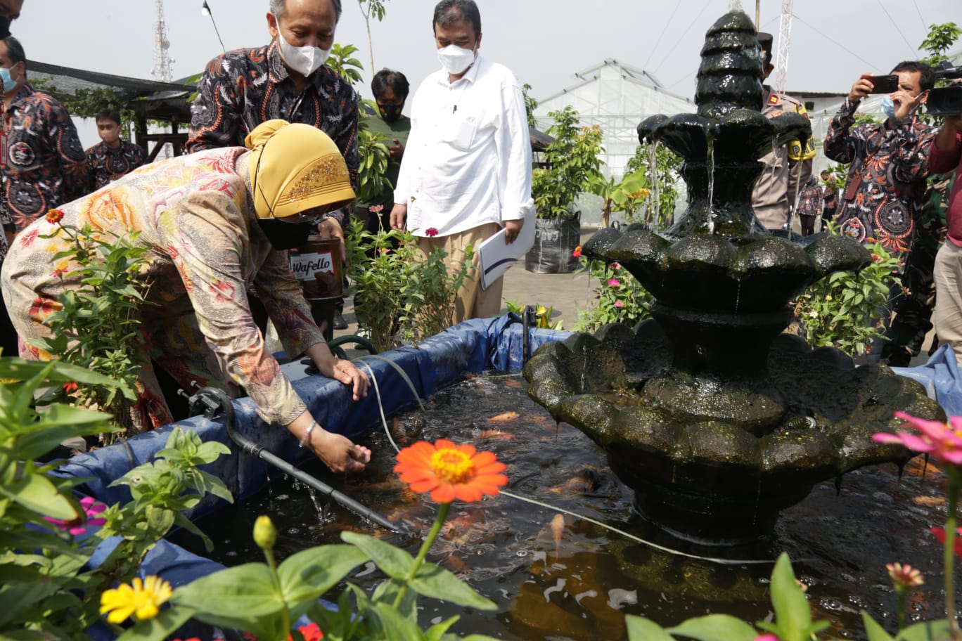 Social Affairs Minister Risma Inaugurates Smart Urban Farming