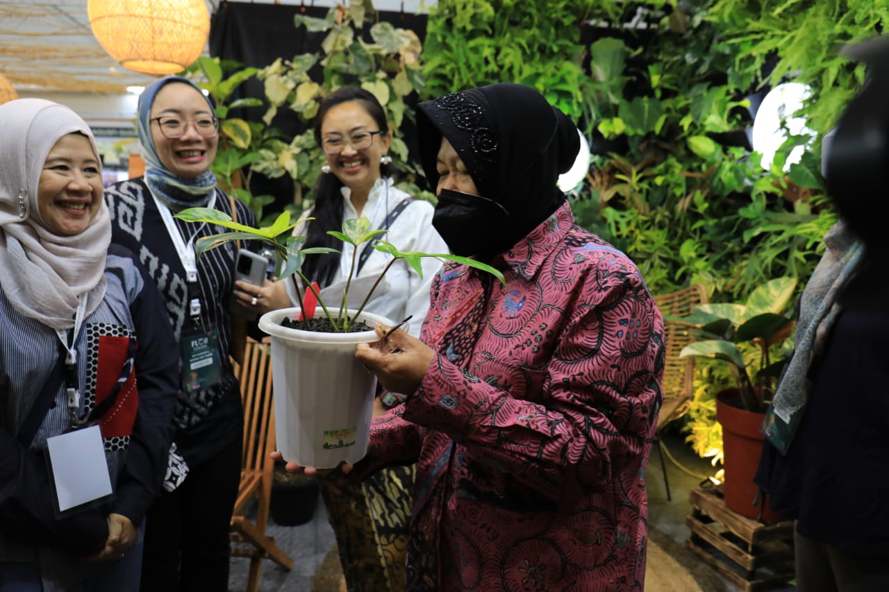 Social Affairs Minister Invites Youths to Pursue Ornamental Plant Business Opportunities