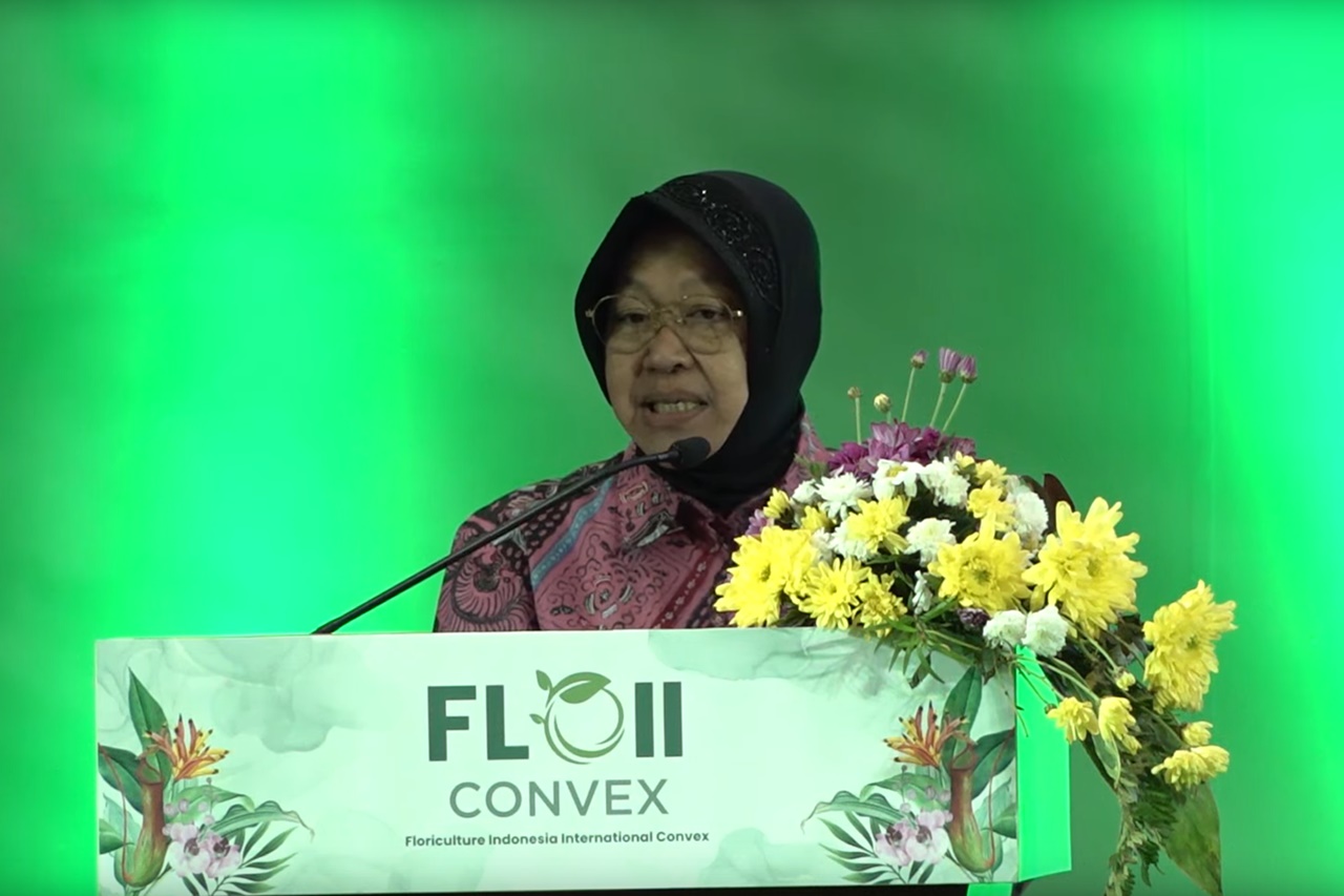 Social Affairs Minister Risma Asks Young People to Become Ornamental Plant Entrepreneurs