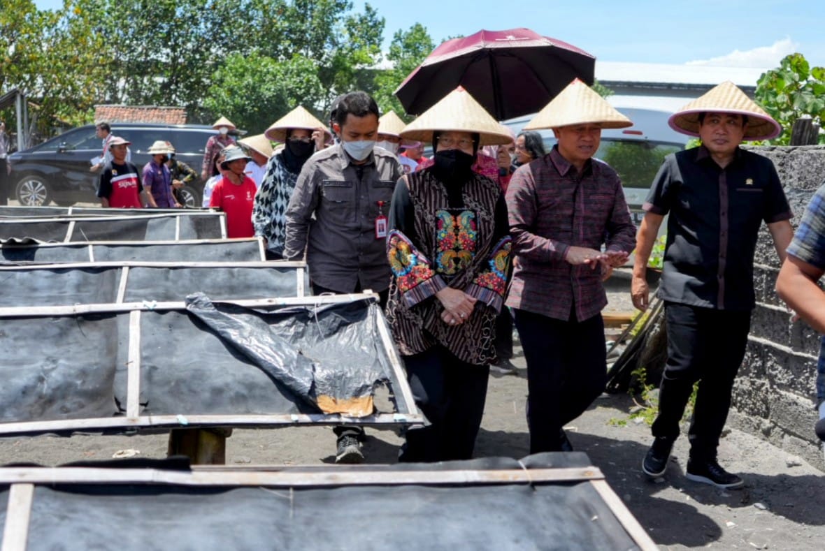 Mensos Minta Perguruan Tinggi, Olah Garam Kusamba Jadi Bahan Kosmetik