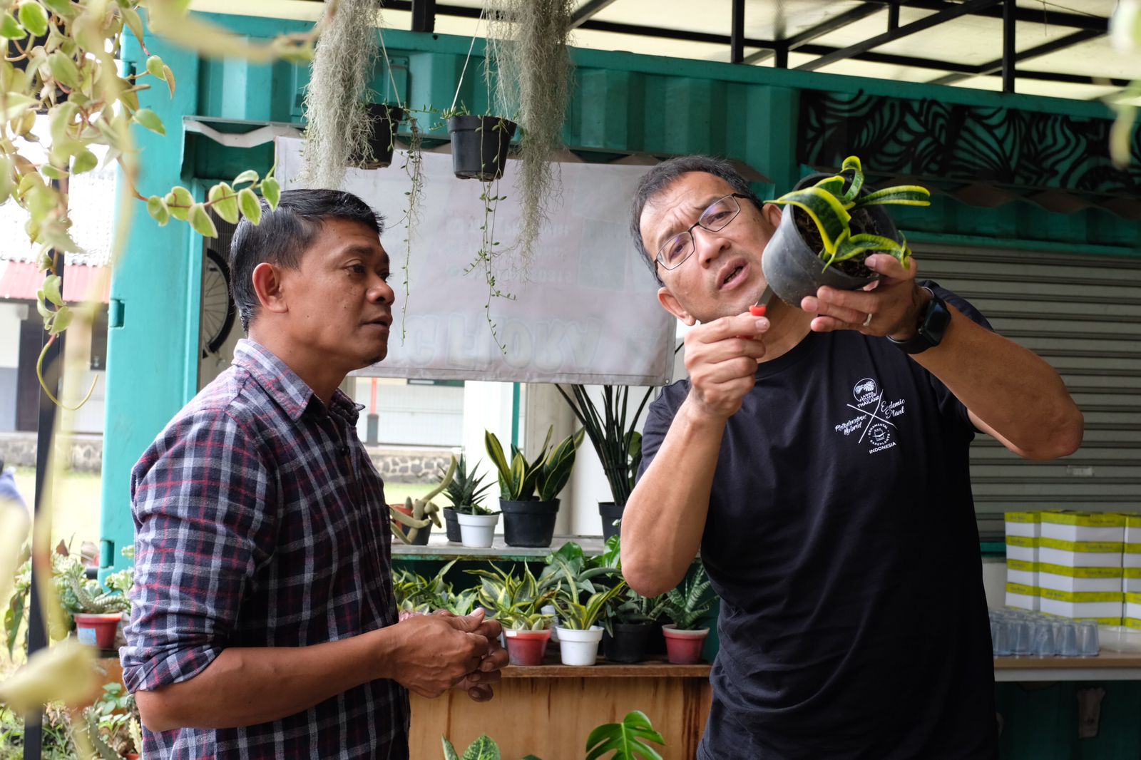 Budidayakan Tanaman Hias, Upaya Kemensos Lestarikan Lingkungan dan Tingkatkan Taraf Hidup KPM