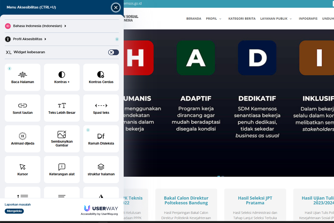 Tambahkan Fitur Baru di Situs Resmi, Kemensos Permudah Disabilitas Akses Informasi
