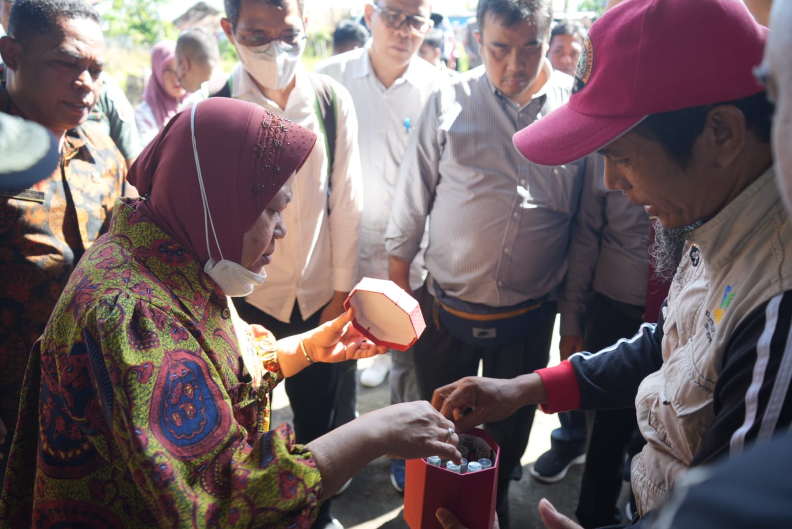 Rebranding Minyak Kayu Putih: Langkah Mensos untuk Tingkatkan Pendapatan Penerima Bansos