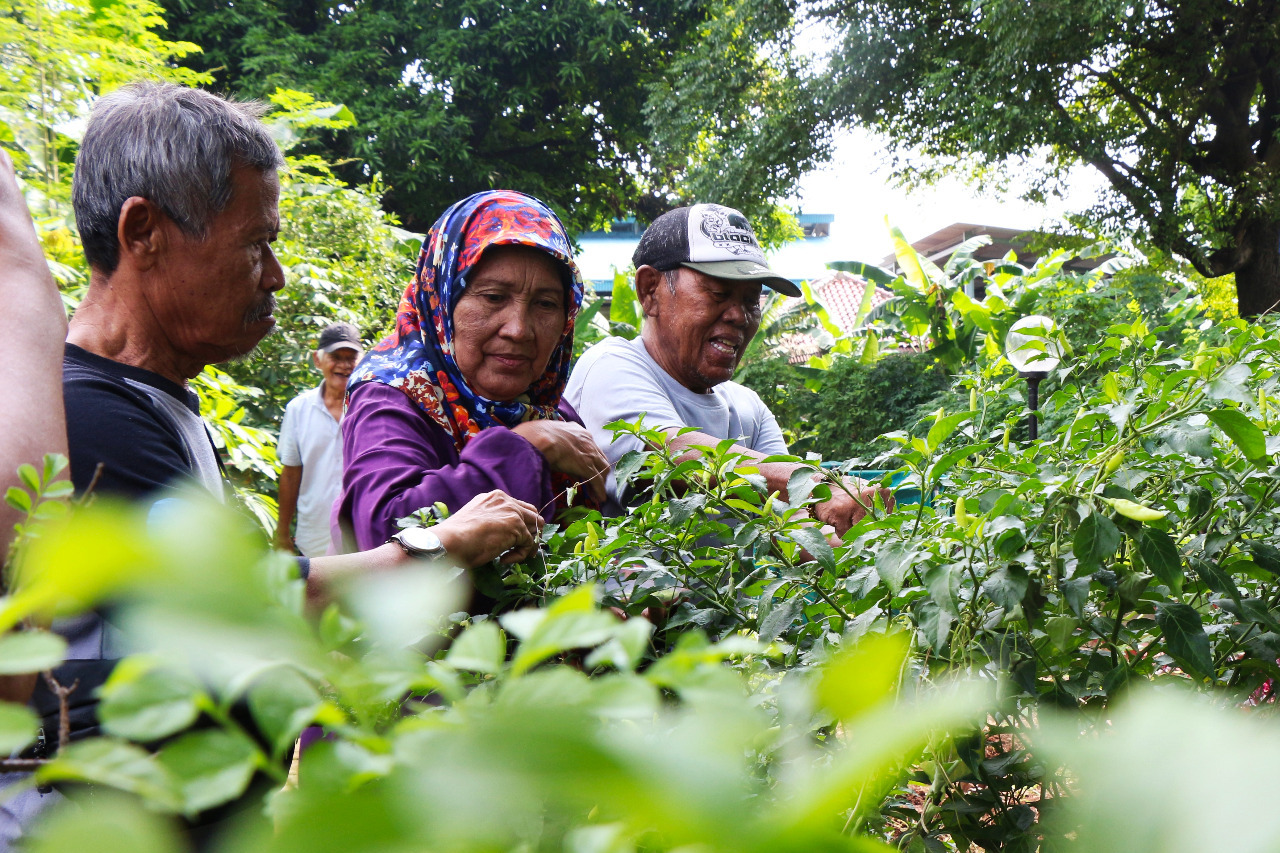 Rindangnya Agrowisata Lansia, Bikin Pengunjung Lansia Betah Berlama-lama