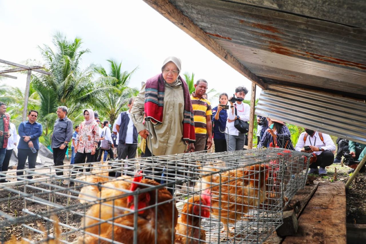 Gali Potensi Lokal, Kemensos Fokus Pemberdayaan Masyarakat Tanimbar Maluku